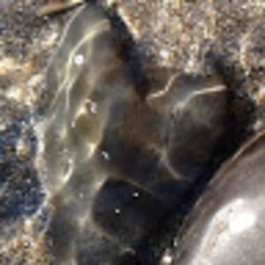 Meet your Posher, Mimi